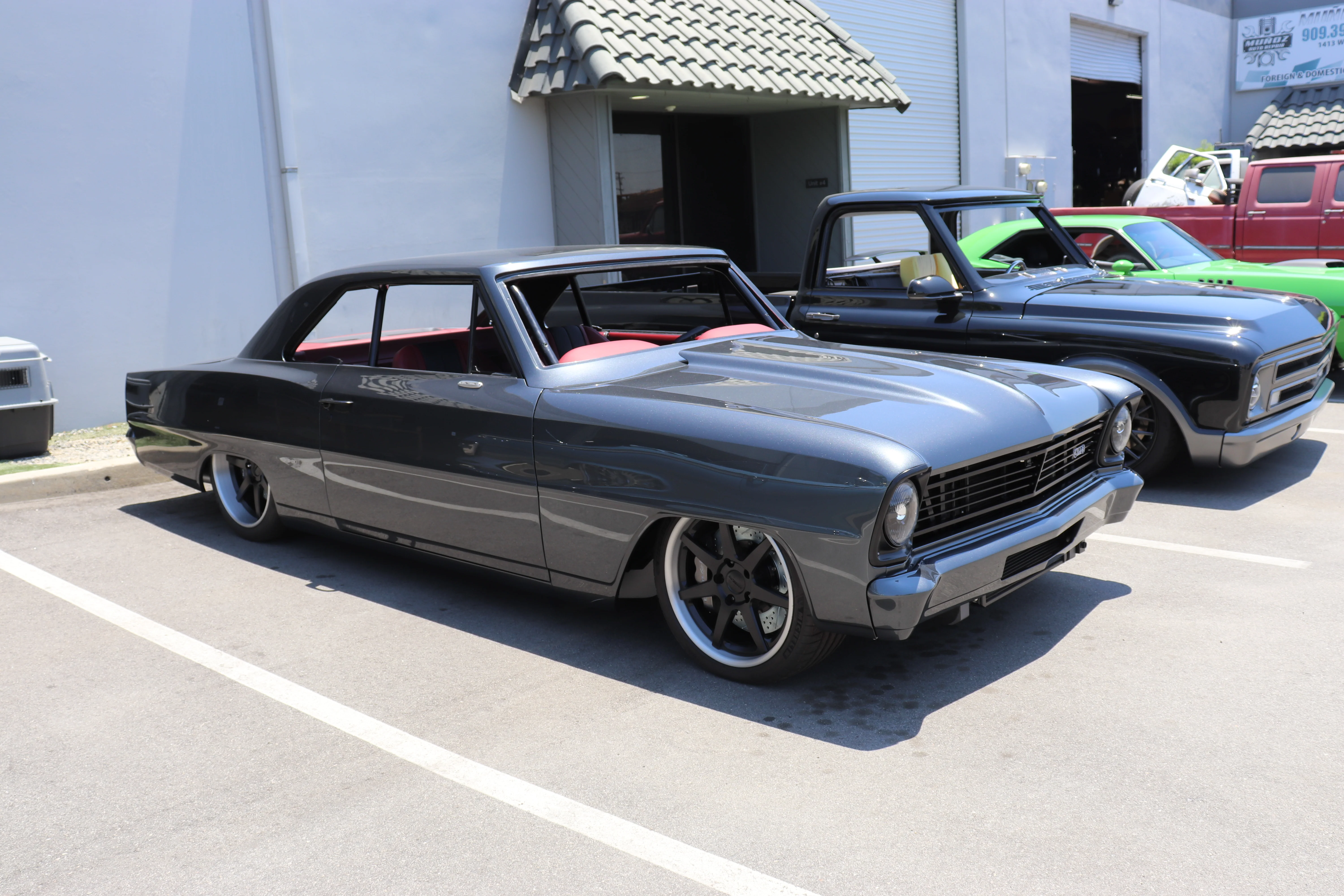 Impala